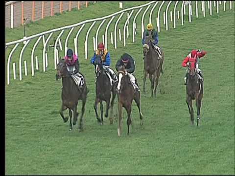 Galoppo 25/02/2017 - 3ª corsa