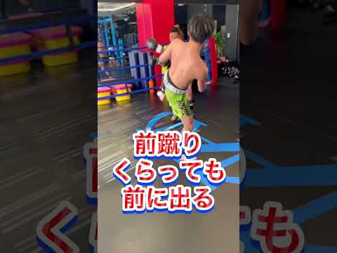 #キックボクシング #ボクシング #ムエタイ #格闘技 #筋トレ