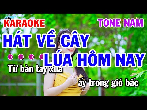 Karaoke Hát Về Cây Lúa Hôm Nay Tone Nam Nhạc Sống Cha Cha