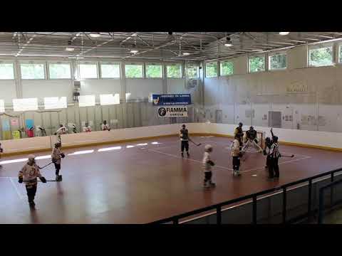 Fiamma Gorizia - Asiago Newts (primo tempo)