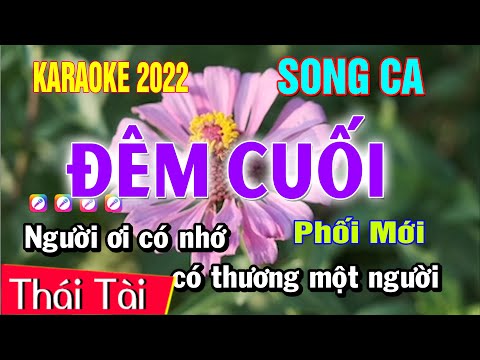 Karaoke Đêm Cuối Song Ca Nhạc Sống | Thái Tài
