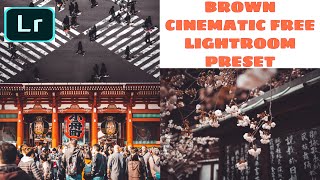 FREE BROWN CINEMATIC LIGHT PRESET (Link in the description)