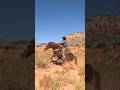 Pony express mount #horses #horse #cowboy #foryou #fyp (Performed by Professionals)