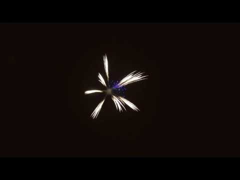 SCP46/150 - 150mm 8 Angle Chrysanthemum with Blue Pistil Shell