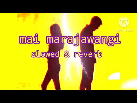 Mai marjawangi slowed & lofi| Mai marjawangi- Dream girl 2| New lofi song2023