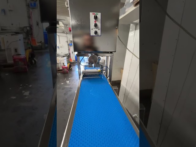 1287070 Skewering machine for salmon and char - Kaj Olesen