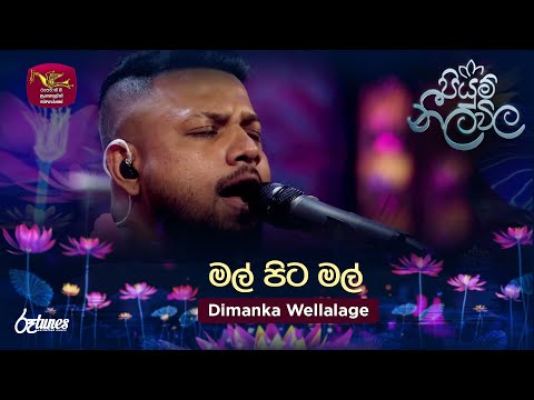Mal Pita Mal | මල් පිට මල් | Dimanka Wellalage | Piyum Neela Vila | Roo Tunes