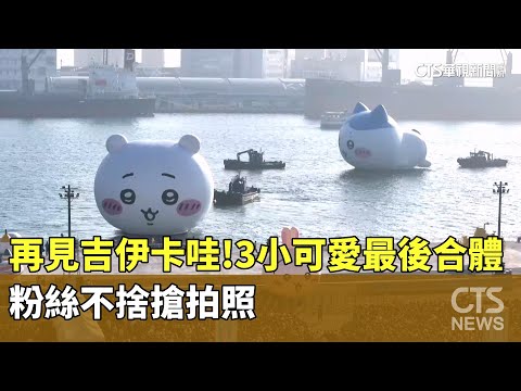 再見了吉伊卡哇！　3小可愛最後合體　粉絲不捨搶拍照