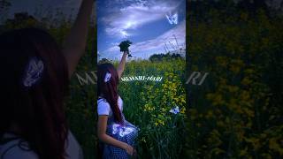 Download lagu Gajah Kupu Kupu #gajahkupukupumenarinaridimataku #denbasito #reggae #liriklagu #trending #viral #fyp mp3