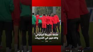 لقطة طريفة للركراكي واللاعبين في التدريبات استعدادا لمواجهة زامبيا thumbnail