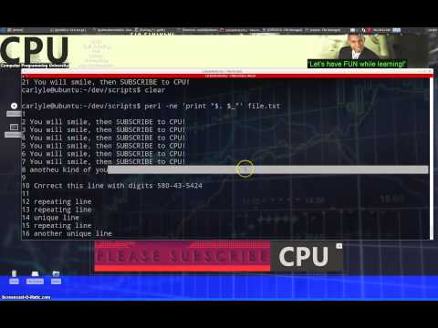Perl: Numbering a file or adding line numbers with Perl