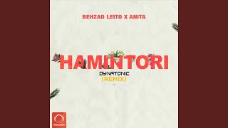 Hamintori (Dynatonic Remix)