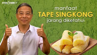 Download lagu Manfaat TAPE SINGKONG Jarang Diketahui..!! mp3