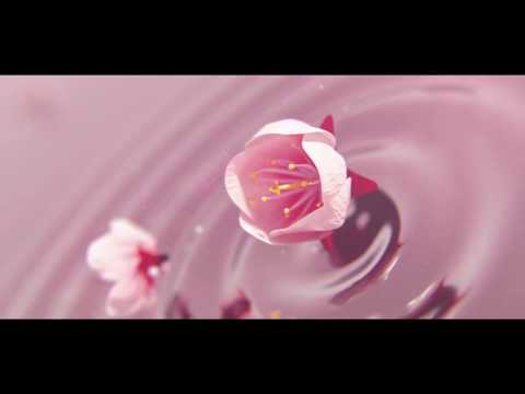 Energiereich Glücklich - das TagesOrakel von Malkiel  für den 16.1.19 - Mondpausen - Tarot