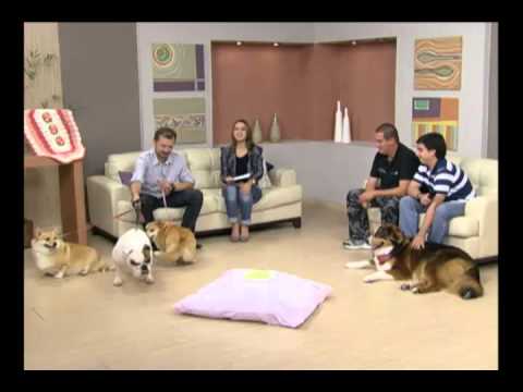 Mulher.com 11/07/2011 - Adestramento