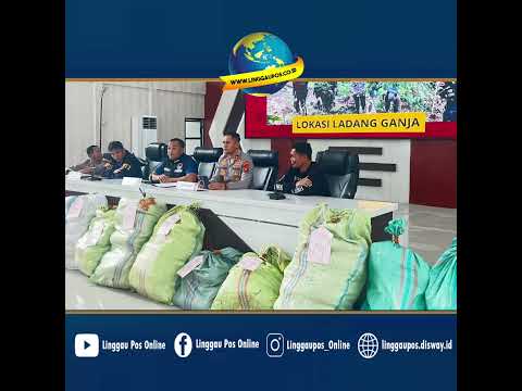 Ada Ladang Ganja 20 Ha di Empat Lawang