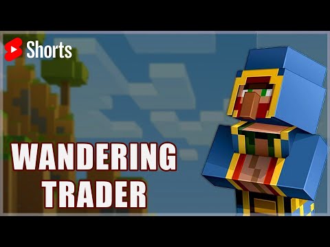 EOC Tales  - Wandering trader is working with witch ? (Hindi) #shorts
