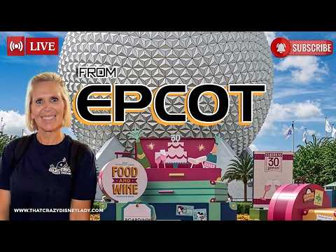 Live webcam of That Crazy Disney Lady