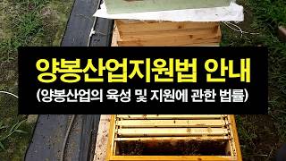 양봉산업지원법 안내, 벌통 50통 이상 사육해야 양봉 농가로 인정