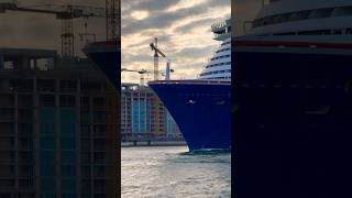 Carnival Celebration 🛳️  #shorts #youtubeshorts #travel #cruise #yt