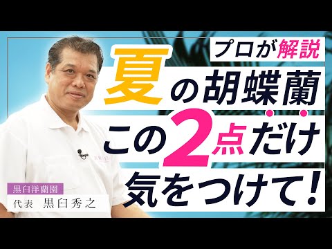 蘭に最適な水やり方法を知っていますか?溺れないようにする方法は次のとおりです！  庭園