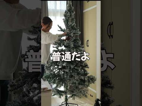 クリスマスツリー: これが生えているなら、絶対に中に入れてはいけません