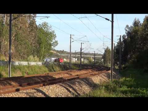 Comboio de Madeira nº 48838 - Linha do Oeste