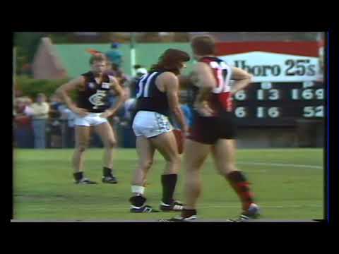 1985 Round 6 - Carlton vs Essendon at Windy Hill - Carlton Highlights