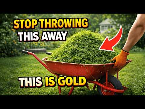 Stop Throwing This Away — It's the Best Free Fertilizer You Have