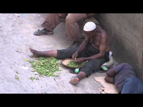 P the Mc  Kuaminiana