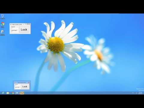 How to make basic screen locker in Visual Basic 2010 Express