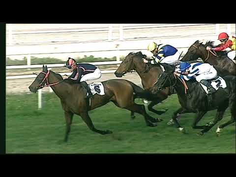 Napoli Galoppo 29/11/2022 - 2ª corsa