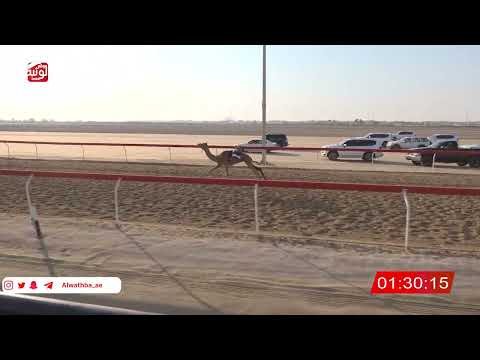  ش 22 (الشهامه) لـ عثمان الصديق تمار 3:08:29 ، شارة الصندوق 2026/07/25 فطامين الوثبة