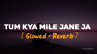 Download lagu Tum Kya Mile Jaane Jaan | Slowed & Reverb | Udit Narayan | Pujita Musics mp3 Download lagu Tum Kya Mile Jaane Jaan | Slowed & Reverb | Udit Narayan | Pujita Musics mp3