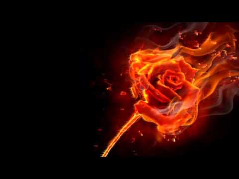 download lagu mp3 mp4 Camouflage Winner Takes Nothing, download lagu Camouflage Winner Takes Nothing gratis, unduh video klip Camouflage Winner Takes Nothing