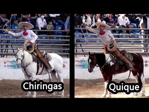 Catedra de Manganas - 3 de 3 en Manganas a Caballo - Congreso Aguascalientes 2021