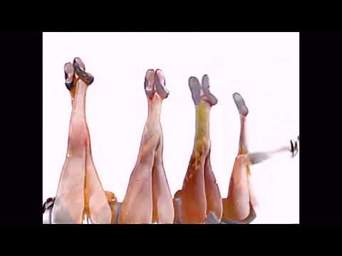 Lael Neale – Come On (Official Video)