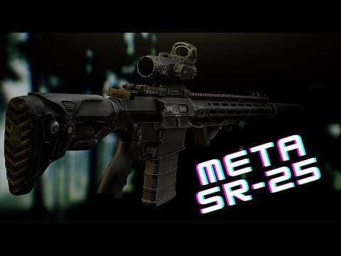 Meta & Budget SR-25 7.62x51 Builds