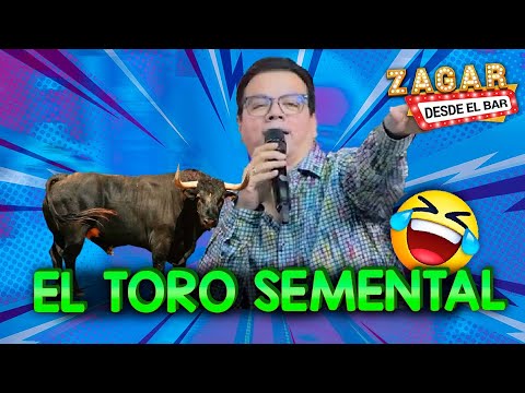 Zagar - El toro semental