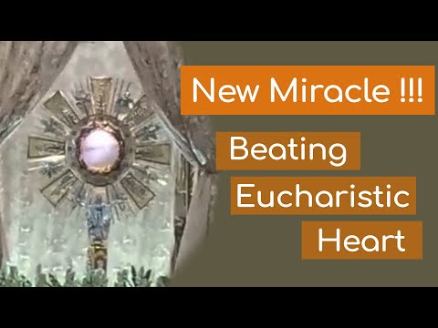 New Eucharistic Miracle In Mexico