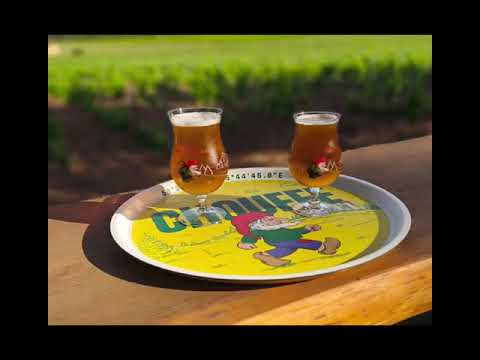 Camping Le Bois de Pins - Camping Pyrénées-Orientales - Image N°2