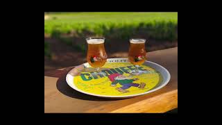 Camping Le Bois de Pins - Camping Pyrénées-Orientales - Image N°2