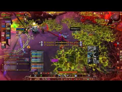 Sporebats vs  Mythic Nythendra Kill! 11.06