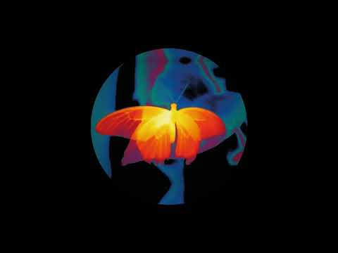 [FREE] Damso x Nekfeu x Népal Type Beat : " Éveil " (prod by @yᴀng @avalancheprod @piratproduction)