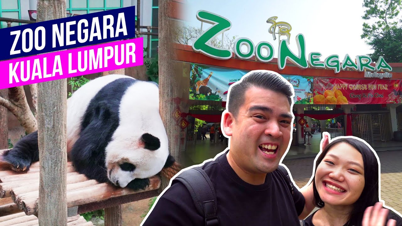 Join tourists on a thrilling journey as they explore Zoo Negara in this captivating video.