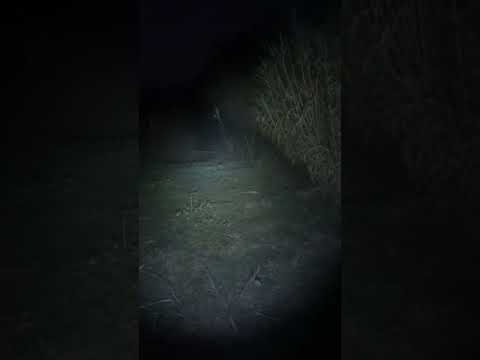 NITECORE MH10 V2 žibintuvėlis 1200 liumenų video