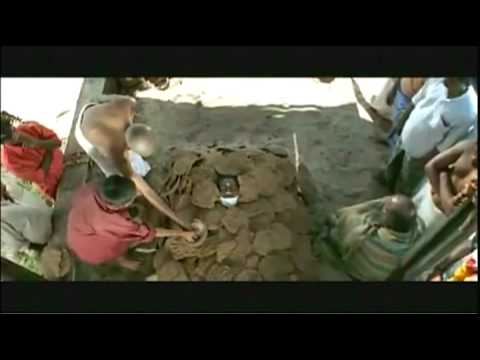 download lagu mp3 mp4 Piraye Piraye Song, download mp3 Piraye Piraye Song free download mp3, download mp3 Piraye Piraye Song