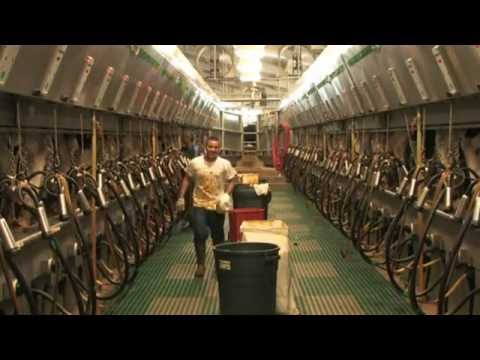 GEA Farm Technologies Magnum 90i - EN