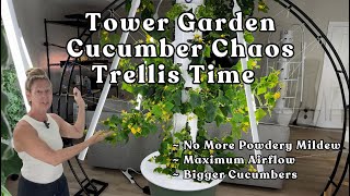 Training #towergarden Vines for Maximum Airflow&Bigger #cucumbers #garden #farming #verticalgarden