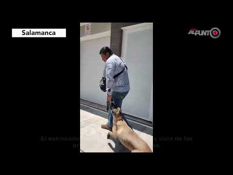 De policía a ‘César Milán’ salmantino: Juan Franciso adiestra a perritos para evitar su abandono